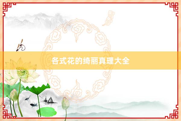各式花的绮丽真理大全